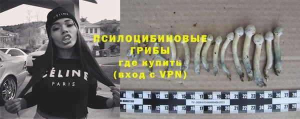 дурь Нягань