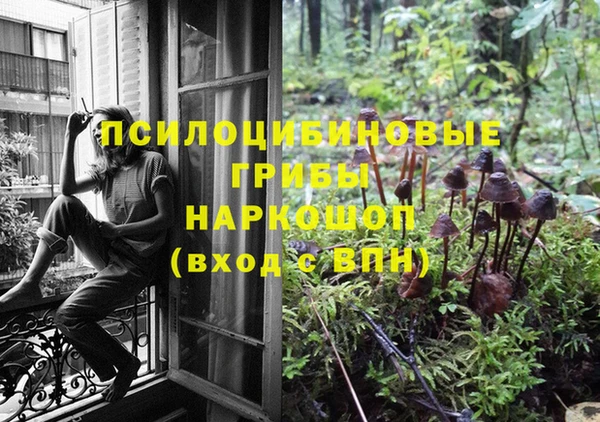 марки nbome Новозыбков