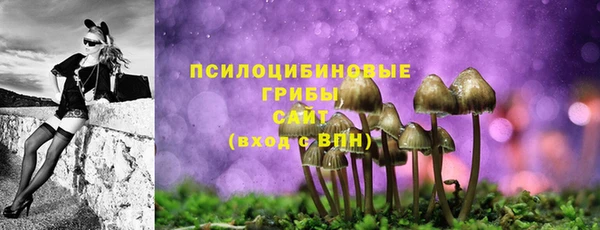 марки nbome Новозыбков