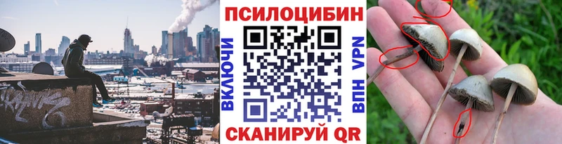 Псилоцибиновые грибы Cubensis Тула