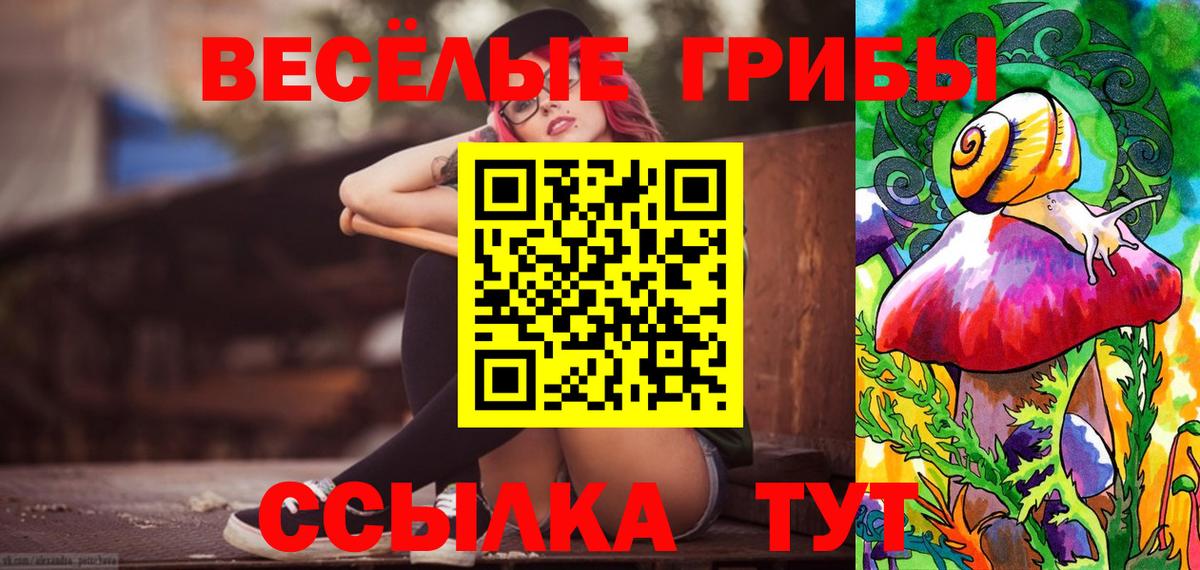 Галлюциногенные грибы GOLDEN TEACHER  Вход с VPN  Тула 