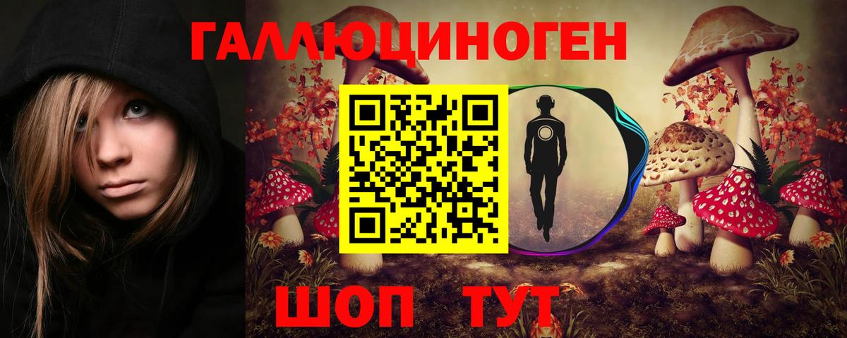 Псилоцибиновые грибы Psilocybine cubensis Тула